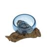 Molten Glass Bowl on Wood Mini Blue