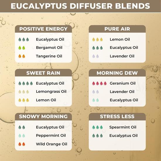 100% Plantebasert Nilgiri Eukalyptusolje for Luftfukter, Diffuser & Massasje - Ren, Økologisk Eterisk Olje av Terapeutisk Grad for Dampinhalasjon