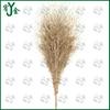Youjin Leafless Bamboo Road Broom