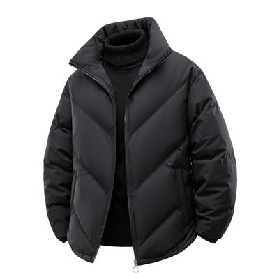 Winter Down and Cotton Jacket with Thick Stand Collar, Loose and Warm Cotton Jacket, Single Jacket for Women