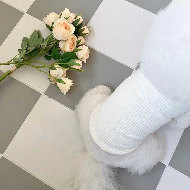 New pet bottoming shirt Teddy Pomeranian VIP Yorkshire Maltese autumn dog and kitten cat clothes