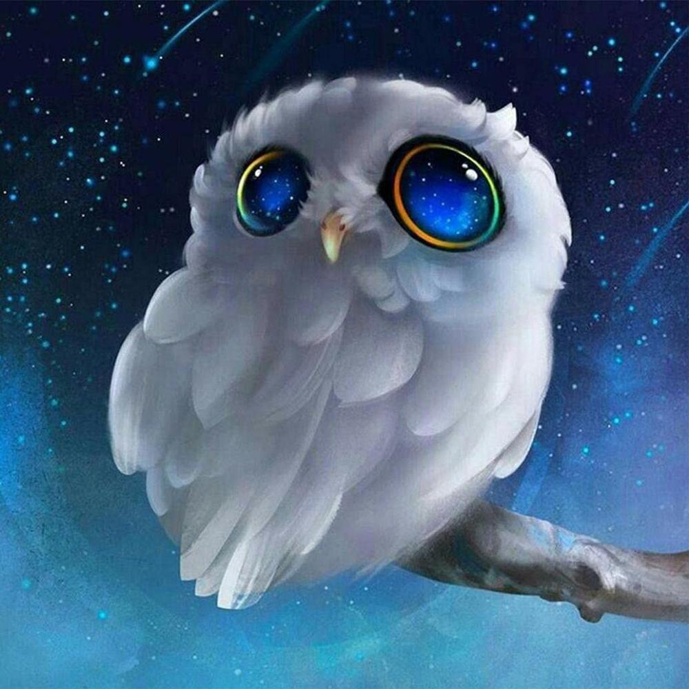 5D DIY diamantová malba Zvířecí sova Diamantové vyšívání Krajina Západ slunce Mozaika Křížkový steh Domácí dekorace Vánoční dárek