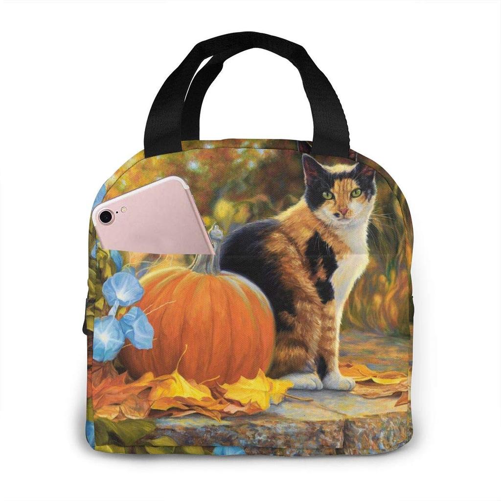 Insulated Lunch Bag Thermal Funny Cartoon Cats Tote Bags Cooler Picnic Food Lunch Box Bag For Kids Women Girls Men Children
