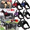 Pet Dog Nastavitelná trakční vesta Měkký hrudní popruh Velký Postroj na vodítko proti nepokojům pro venčící psy Upgrade XS-XL