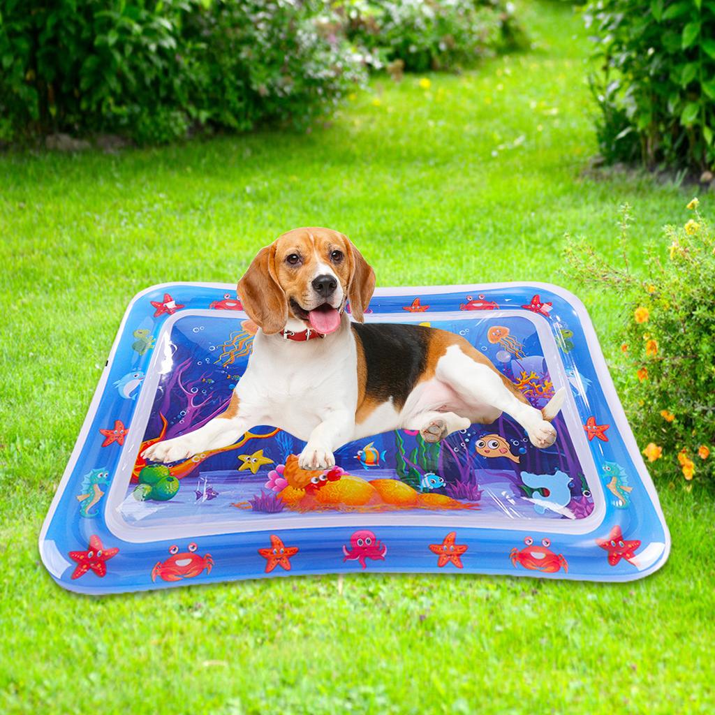 Tapis de jeu sensoriel aquatique pour chats et chiens, tapis de jeu aquatique épais avec motifs de poissons, tapis de jeu aquatique d'été pour animaux de compagnie