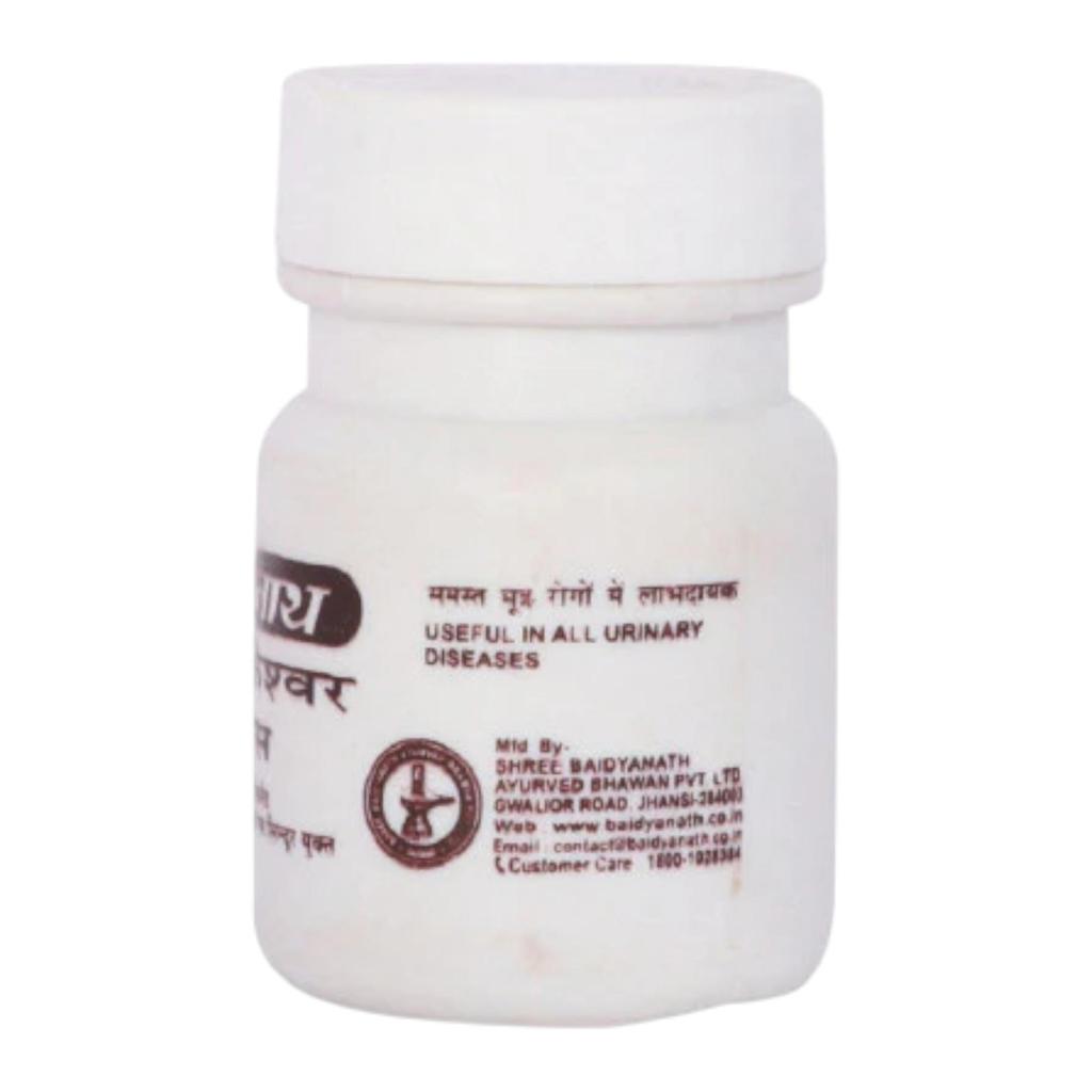 Baidyanath Jhansi Tarkeshwer Ras 20TAB Ayurvedic Mineral Tablets for Daily Wellness Support