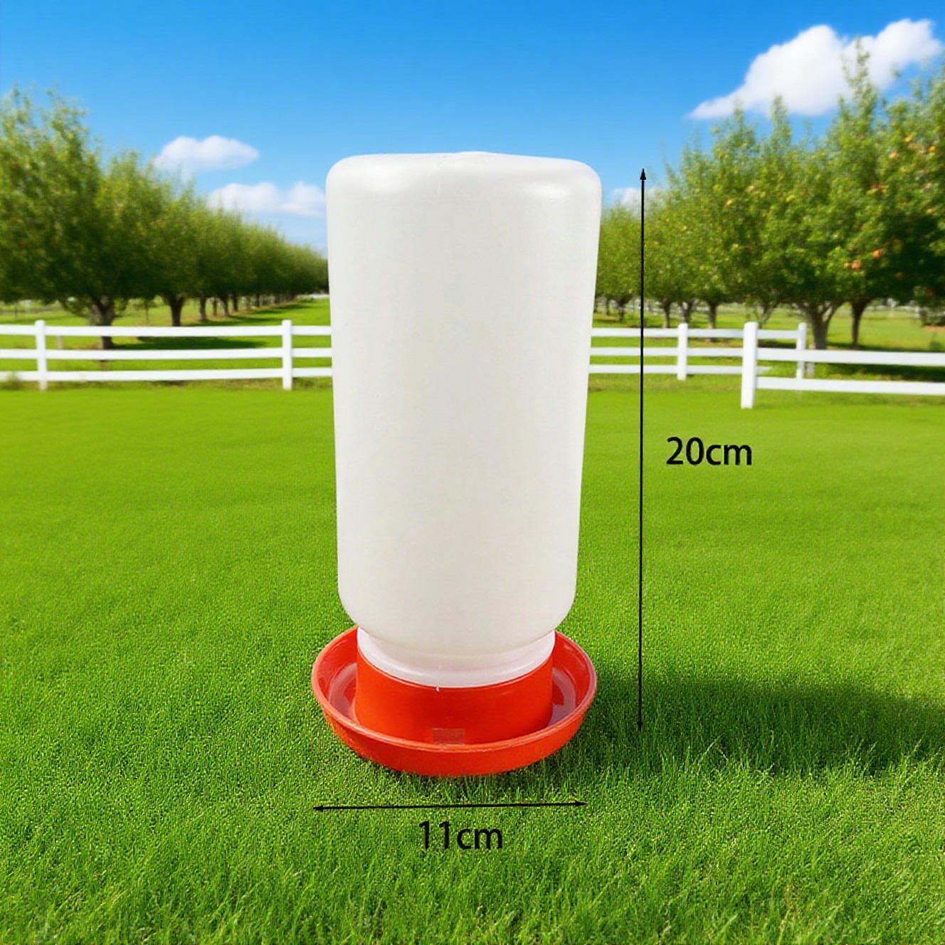 Automatic Feeder for Chickens Equipment Quail Drinkers Chicken Feeder and Drinker Hen Food Distributor Chicken Water Dispenser