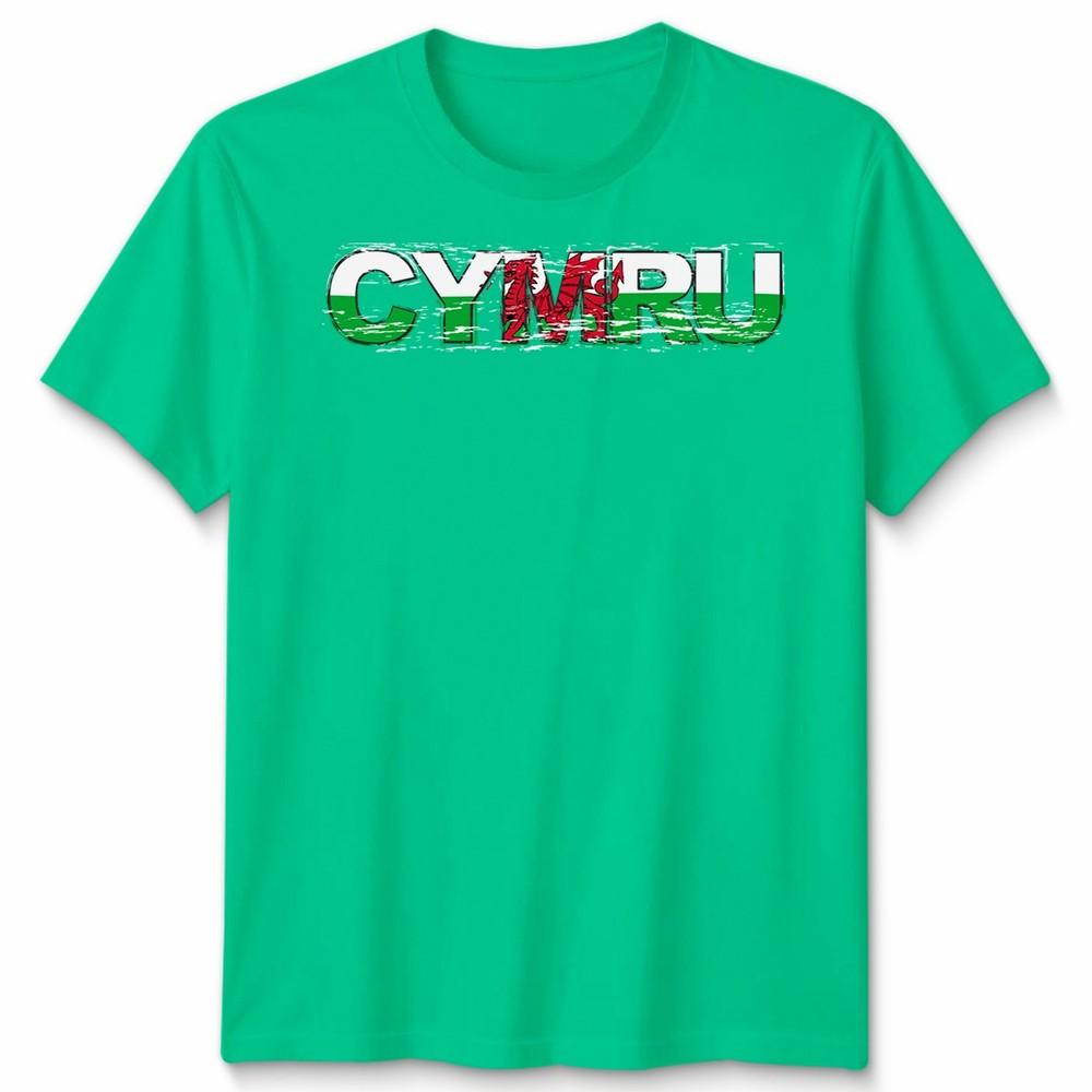 Wales Welsh Cymru Flag St Davids Day T Shirt Cymraeg National Apparel S