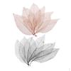 100 Pieces Natural Magnolia Skeleton Leaves Embellishment for Scrapbook Crafts Bookmark
