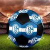 SIZE 5 FC Schalke 04 Soccer Ball Colorful All Ages Machine Stitched PVC Competition Ready Durable High-Bounce