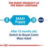 Royal Canin SHN Maxi Junior for Dogs 10kg