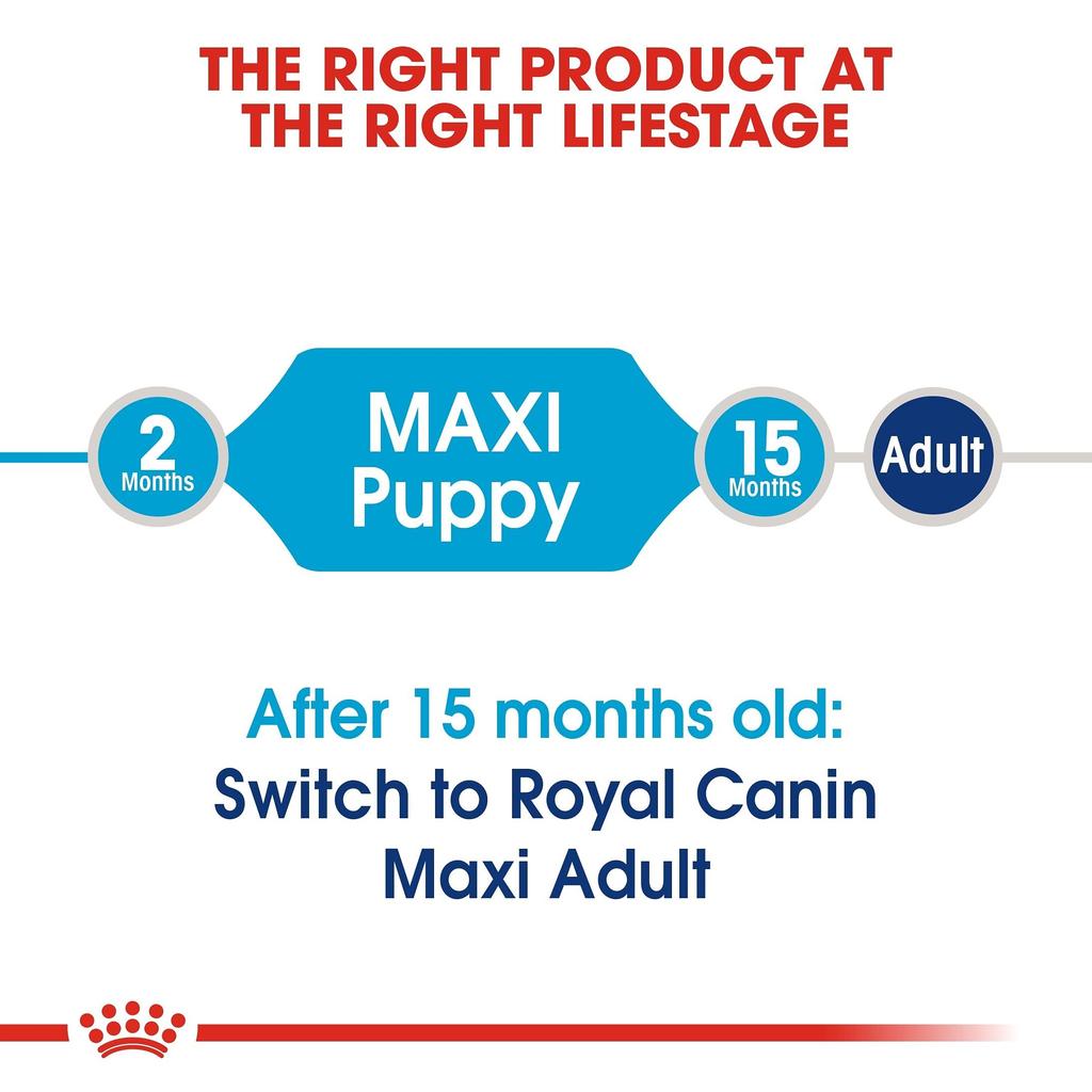 Royal Canin SHN Maxi Junior for Dogs 10kg