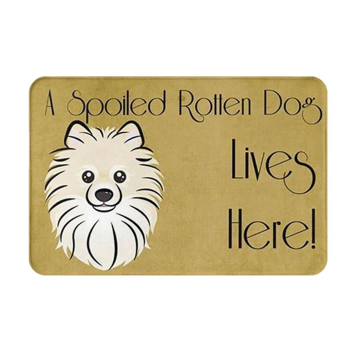Pomeranian Hond Anti-slip Deurmat Vloermat Water- en oliebestendig Tapijt Vloerkleed voor Keuken Entree Huis Slaapkamer Voetmat Matten 60x40 cm