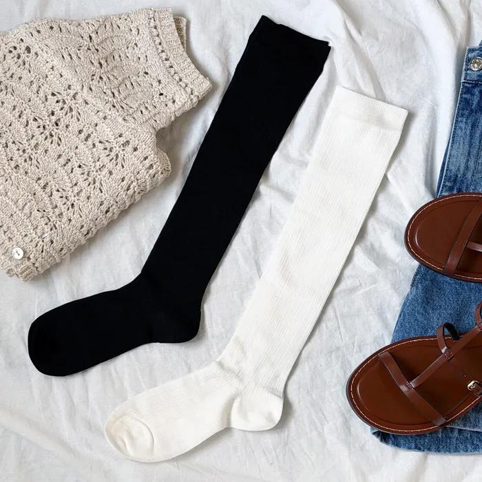 [HappyPICK][26SS] Moss Punching See-through Knee Socks 2 Pairs 2 Colors