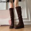 Winter Platform Height Increase Woman Western High Boots Fashion Thick Heel Shoes Female Punk Vintage Slip On Long Booties