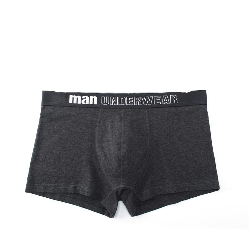 Men Underwear Shorts High Quality Underpants