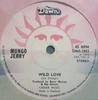 7inch Record MUNGO JERRY  Wild Love DNS1051 Dawn 1973 UK Rock Used