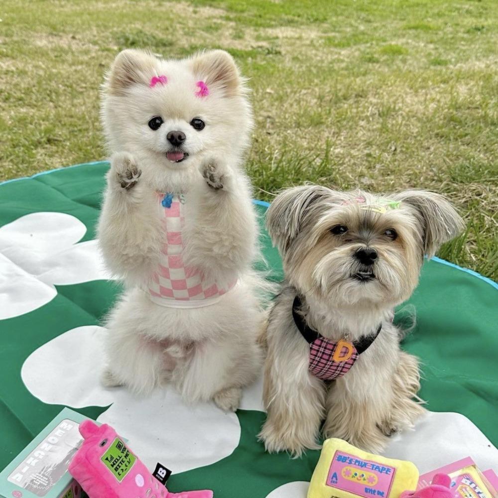 Устойчивая к укусам игрушка в виде щенка, звуковая игрушка в форме сотового телефона, плюшевая кукла для домашних животных, жевательная игрушка, фотоукрашение