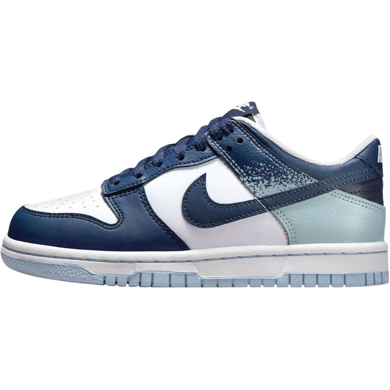 Nike Dunk Low top Skateboard Shoes