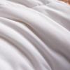 Hengyuanxiang TGB1028 Xiangyi Polyester Duvet