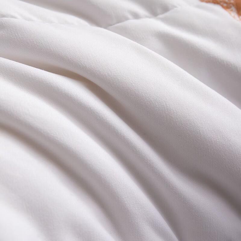 Hengyuanxiang TGB1028 Xiangyi Polyester Duvet