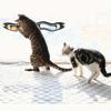 Multi-function Clear Suction Cup Cat Toy with Wall-Mounted Track Ball and Table Tennis Ball