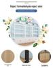 Multi-Layer Slanted Display Stand for Cosmetics and Snacks