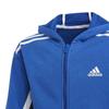 Jaunių džemperis su gobtuvu adidas Bold Full-Zip - Karališkas mėlynas/tamsiai mėlynas - Vaikas - Vyras