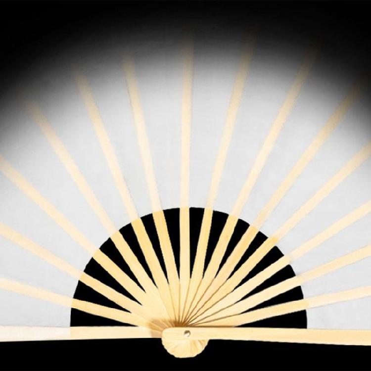 Unique Dyed Silk Dance Hand Long Fan for Dance Enthusiasts