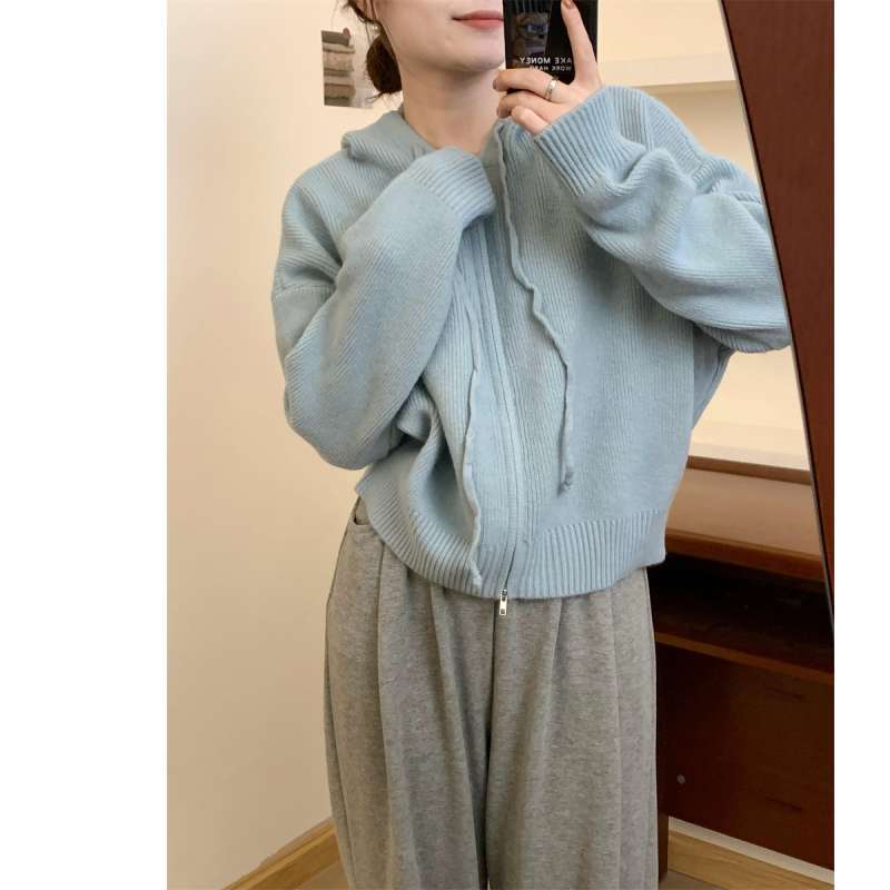 Осенне-зимний корейский стиль, свитер с капюшоном на молнии, кардиган, куртка, женский свободный модный трикотажный топ XL синий