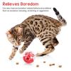 Cat Toys Cat Treat Dispensing Ball Interactive Pet Slow Feeder  Indoor Playing