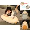 Adorable Dinosaur Plushie Bear And Penguin Plush Toy For Girls Soft And Safe Comfort