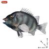 Oenux Sea Life Animals Model Action Figures Ocean Fish Sailfish Bass Grouper Salmon Aquarium Figurines PVC Educational Kids Toy