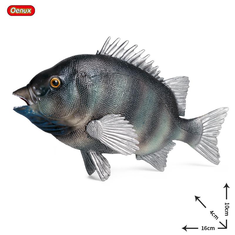 Oenux Sea Life Animals Model Action Figures Ocean Fish Sailfish Bass Grouper Salmon Aquarium Figurines PVC Educational Kids Toy