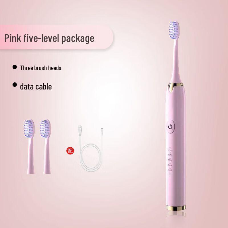 

DSK Smart Sonic Electric Toothbrush EC810