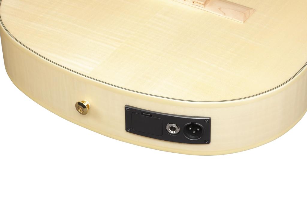 Ibanez Ibanez nylon strings / GA39TCE-NTF (Natural Flat) [elegat]