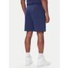 Шорты Nike FV7287 410