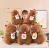 New Kapibara Avocado Capybara Plush Toy Doll Doll Sleeping Pillow Children's Gift