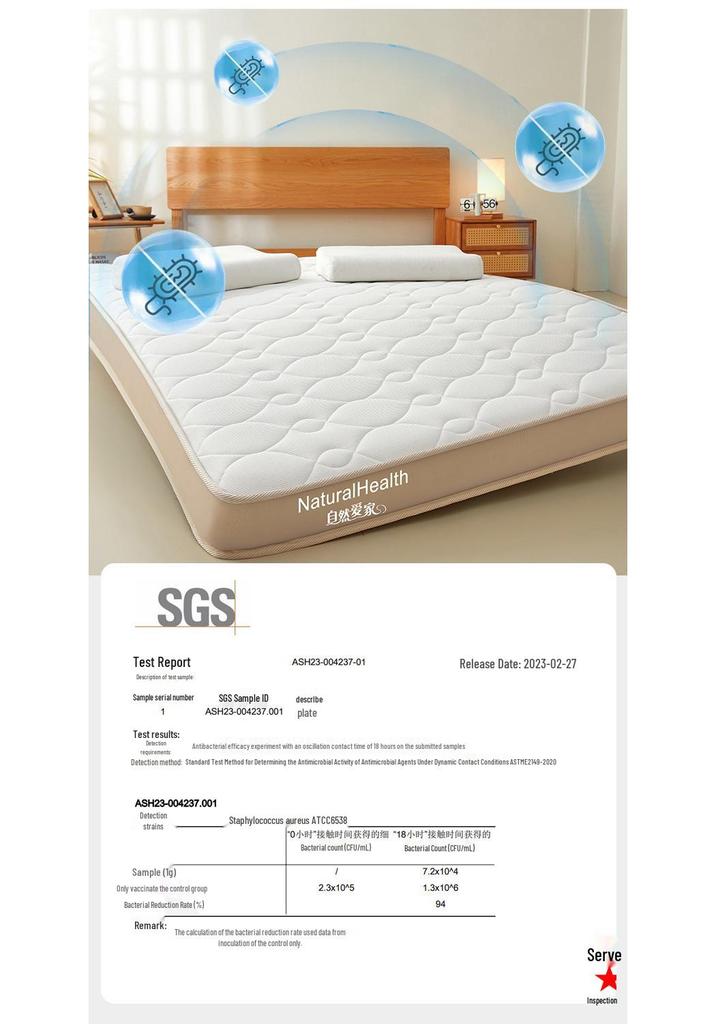 Firm Spine-Support Latex Memory Foam Mattress for Dorms and Hotels