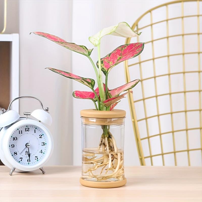 3 stuks hydroponische plantenvazen ​​- Aardeloze kweekpotten met deksels, duurzame ABS-plastic plantenbakken voor binnen en buiten, geschikt voor kruiden, vetplanten en kleine planten.