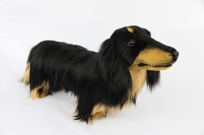 BH8511 HANSA Miniaturní jezevčík dlouhosrstý černý