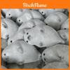 Tpr Soft Silicone Cute Seal Stress Relief Toy For Kids And Adults