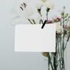 Thickened Blank Cards Blank Greeting Cards Recording Plans Children 14.5X10cm Paperboard 240Pcs