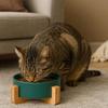 Large Caliber Ceramic Cat Bowl No Spill Cervical Spine Pet Feeding Bowl with Wooden Rack Anti-Overturn High Footed Dog Bowl