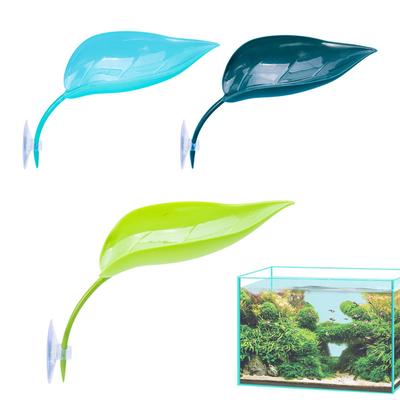 Peces y mascotas acuáticas – Decoración de peceras