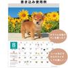 Active Corporation 2027 Calendar Wall Hanging Mori Taibei Marugoto Shiba Inu 27ACL-11 Starts January