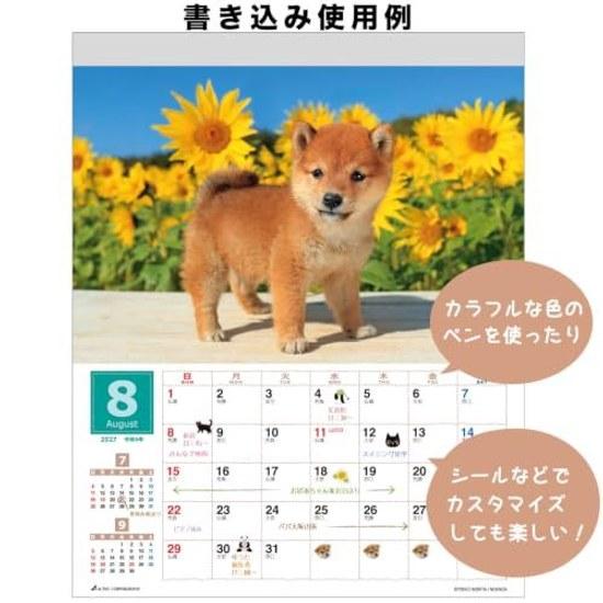 Active Corporation 2027 Calendar Wall Hanging Mori Taibei Marugoto Shiba Inu 27ACL-11 Starts January