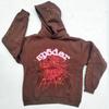 Unisex Casual Hoodie Long Sleeve Loose Sweatshirt Men Women Daily Wear Pullover Hooded Top