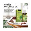 3pcs Cyperus Rotundus Oil, 100% Natural Nut Grass Oil, Cyperus Rotundus Oil for Hair Removal, Topical Cyperus Rotundus Oil, Reducing Body Hair Growth