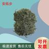 Antuobu Pine Needle Camouflage Net